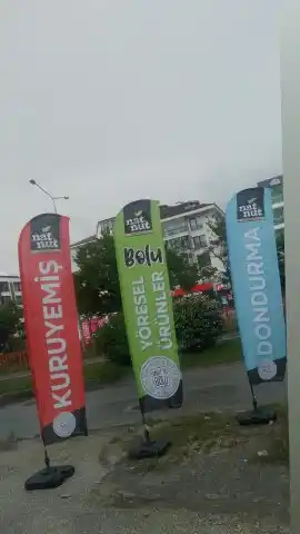 Kuruyemiçi Yelken Bayrağı-3